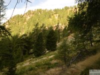 2025-07-27 M. Pelago e Lacs Bessons 051